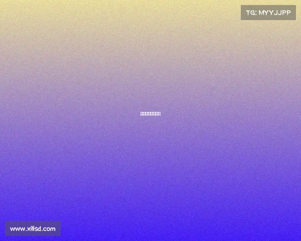 小浣熊电竞工作室